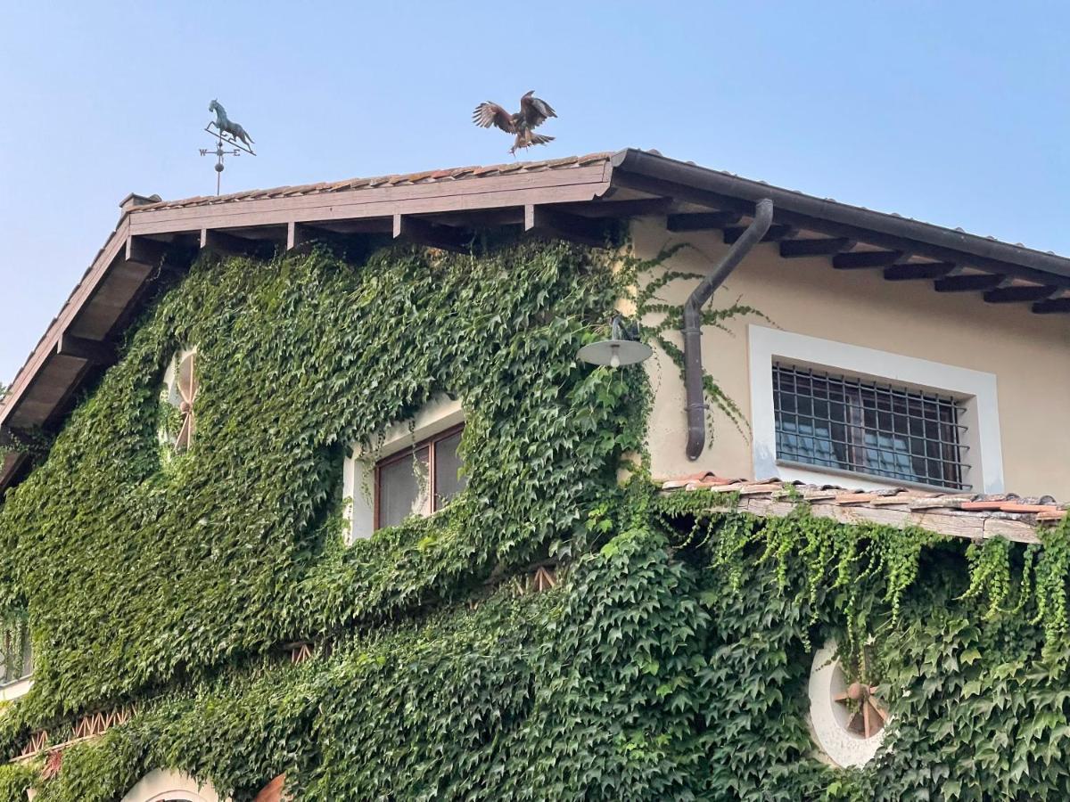 Agriturismo Potrero Grande Sul Lago Di Martignano Con Spiaggia カンパニャーノ・ディ・ローマ エクステリア 写真